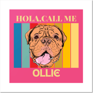 Hola, Call me Ollie dog name t-shirt Posters and Art